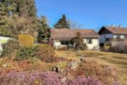 Garten + Altbestand