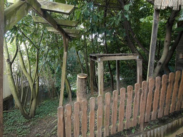 Garten1