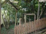 Garten1