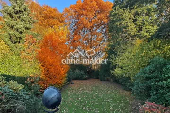Herbstimpressionen