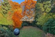 Herbstimpressionen