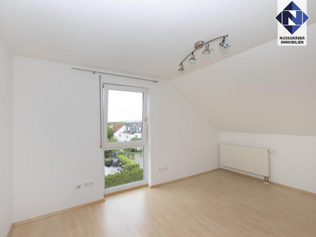 DG Zimmer