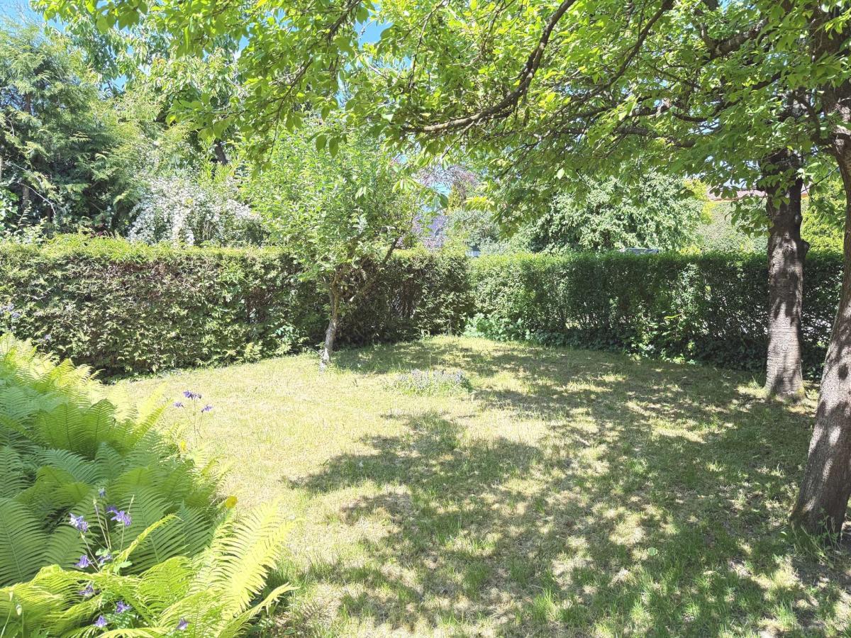 Garten-Bild2_0492