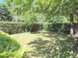 Garten-Bild2_0492