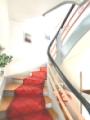 Treppe EG-OG_0520
