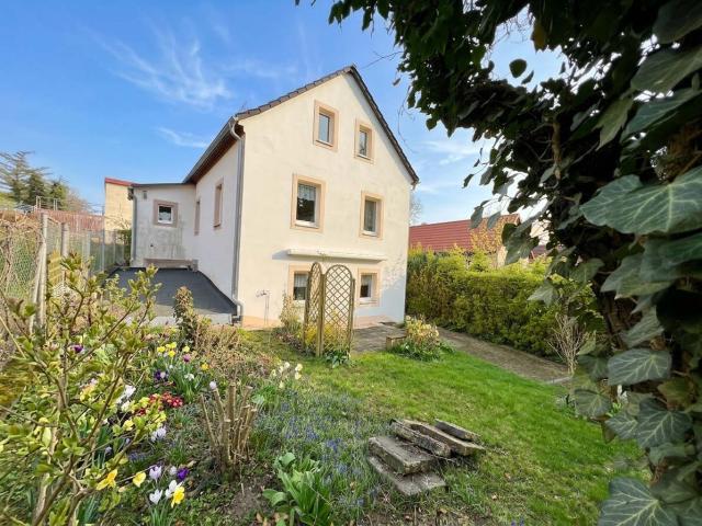 Blick vom Garten