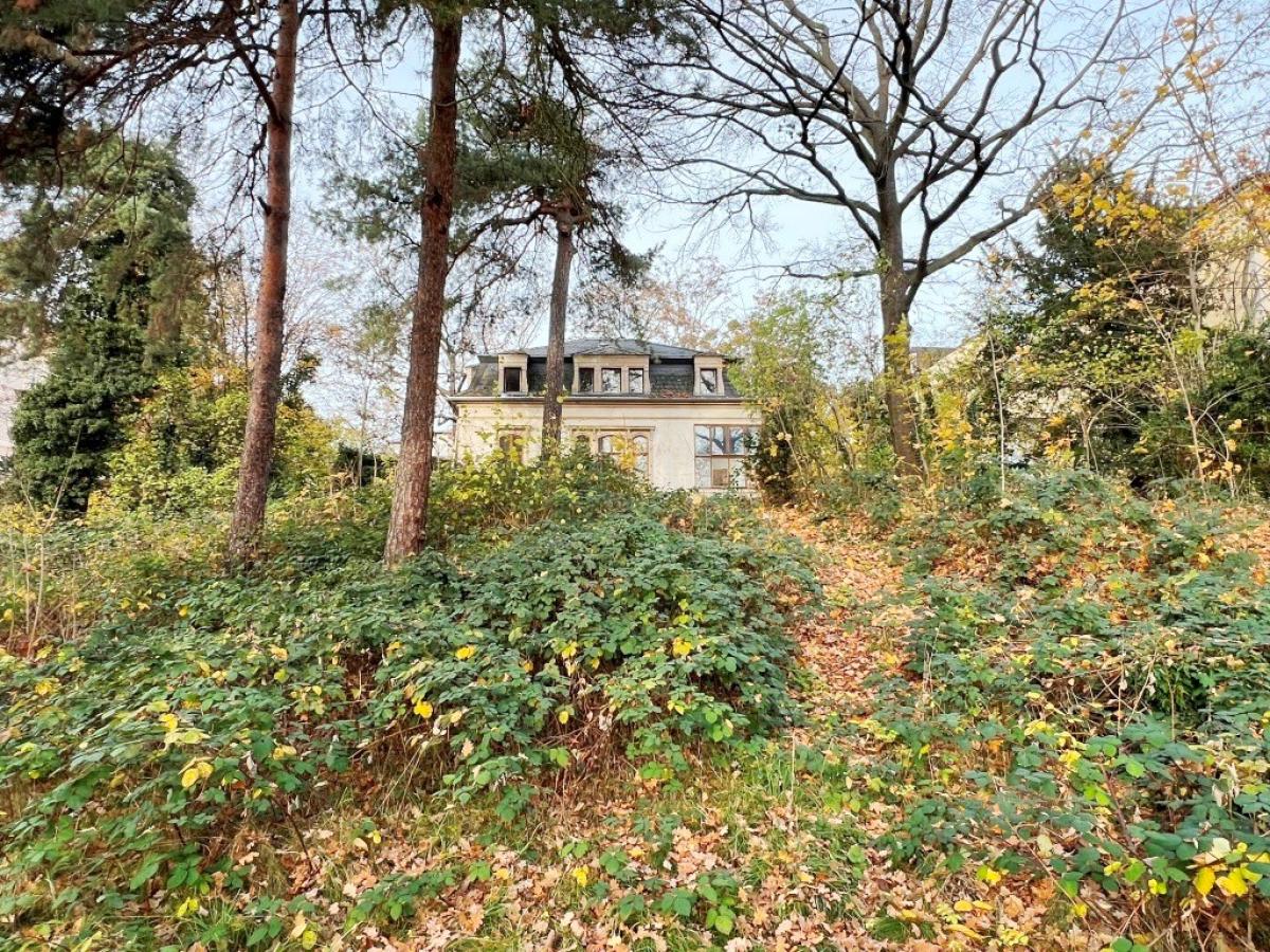 Blick vom Garten