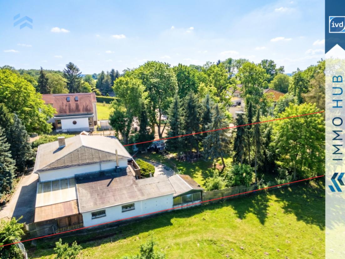 Hinterhof (1)