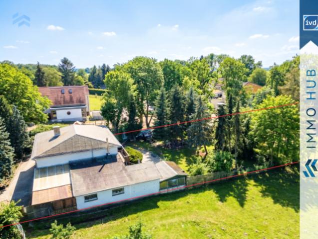 Hinterhof (1)