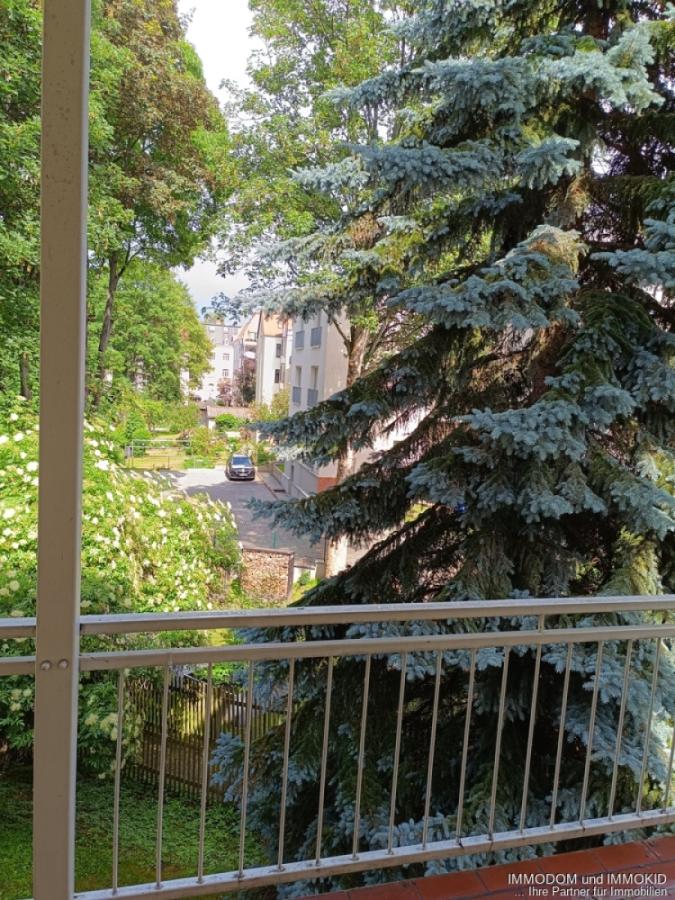 Blick vom Balkon (2)