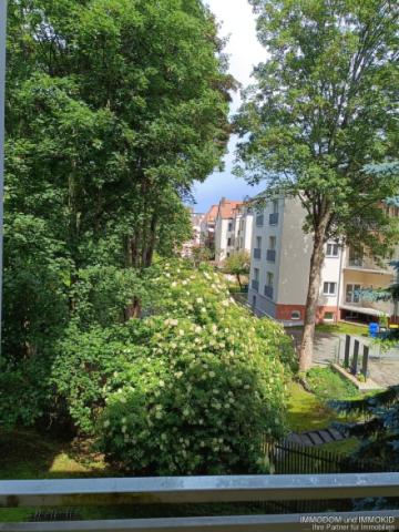 Blick vom Balkon (3)