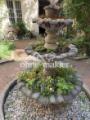 Begrünter Brunnen im Innenhof