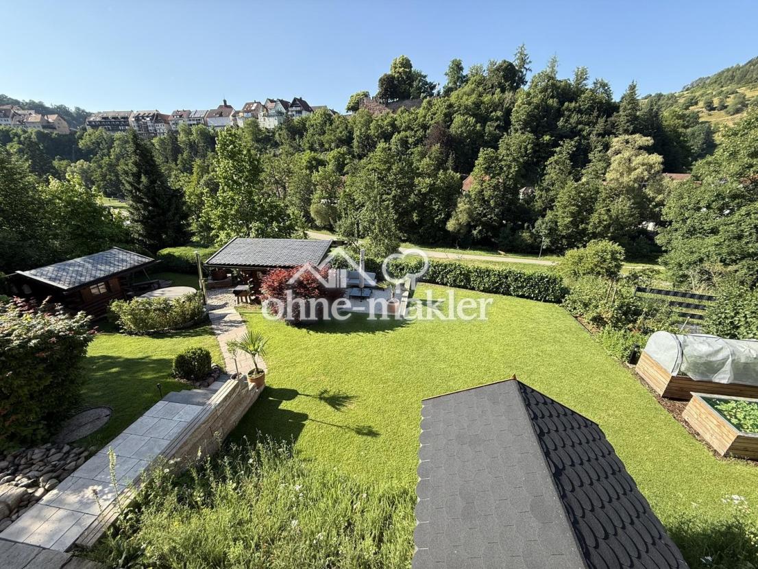 Blick von der Terrasse EG