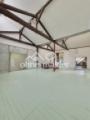 Wohnung 1 / Loft