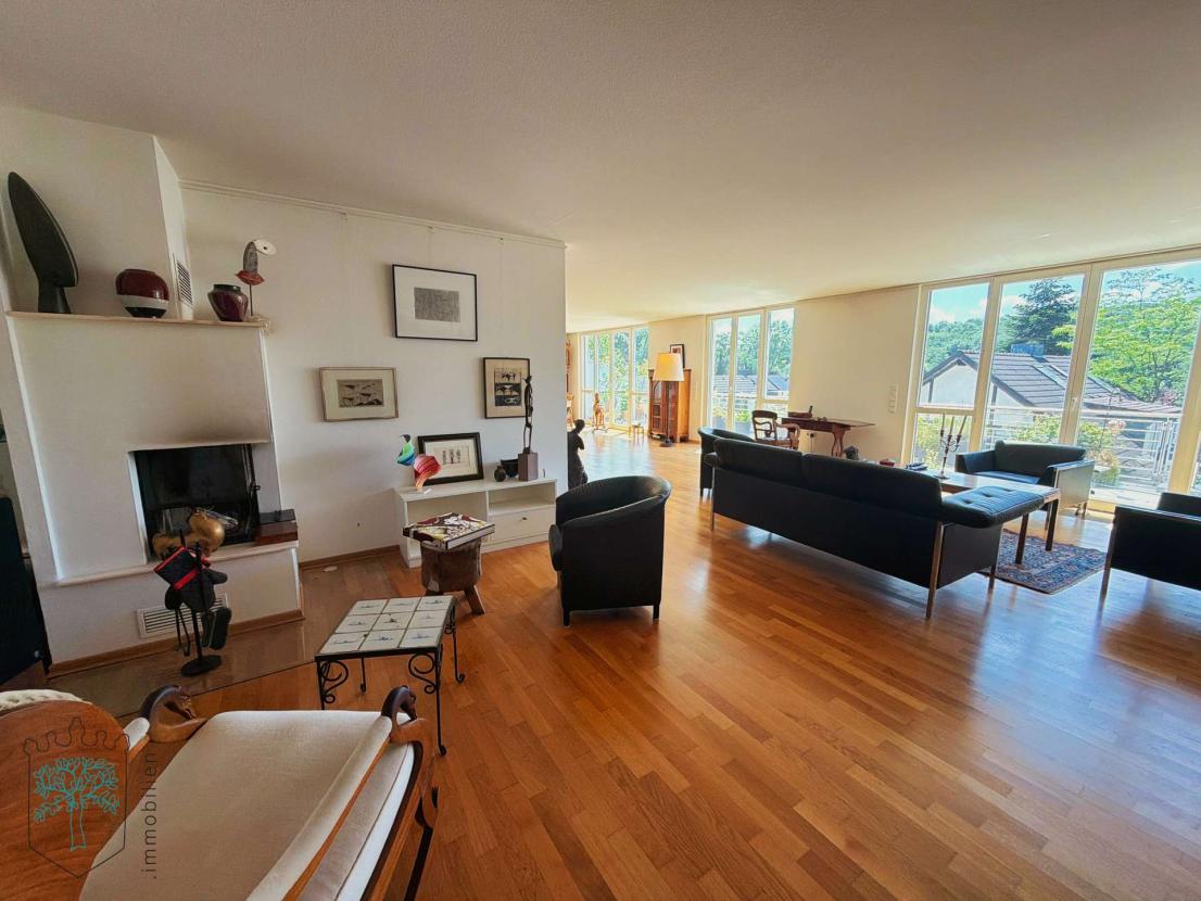 Wohn-, Kamin- und Esszimmer