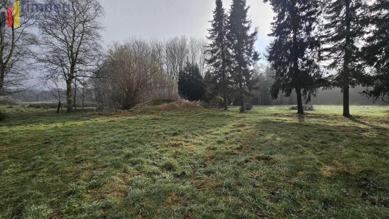 Garten/ Wiese