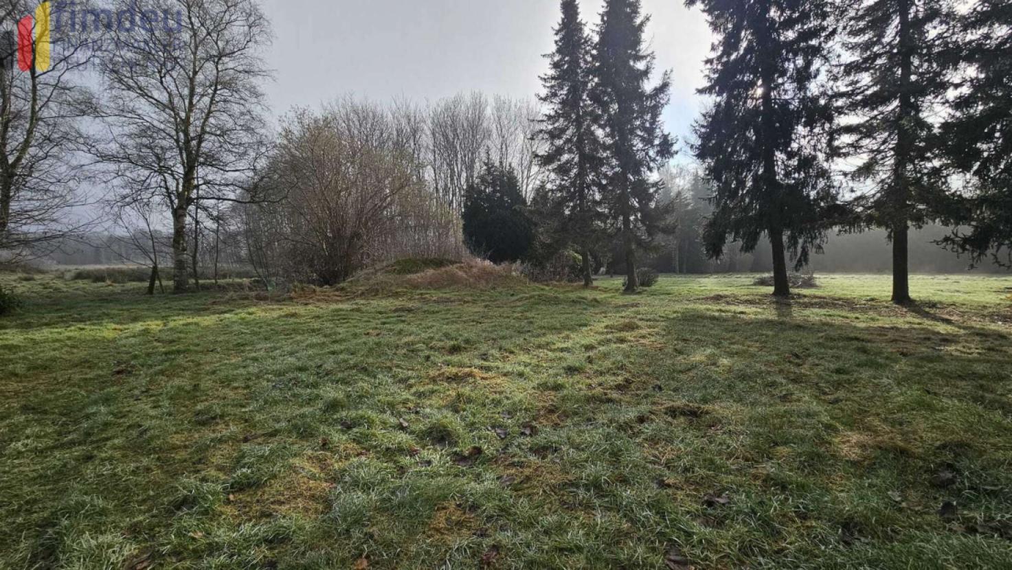 Garten/ Wiese