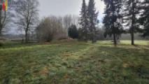 Garten/ Wiese
