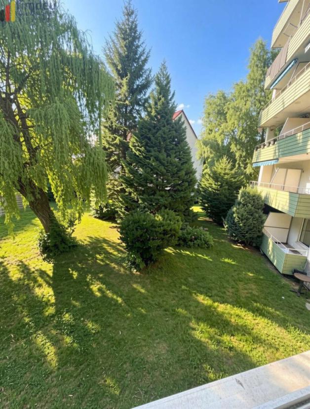 Blick nach außen II 