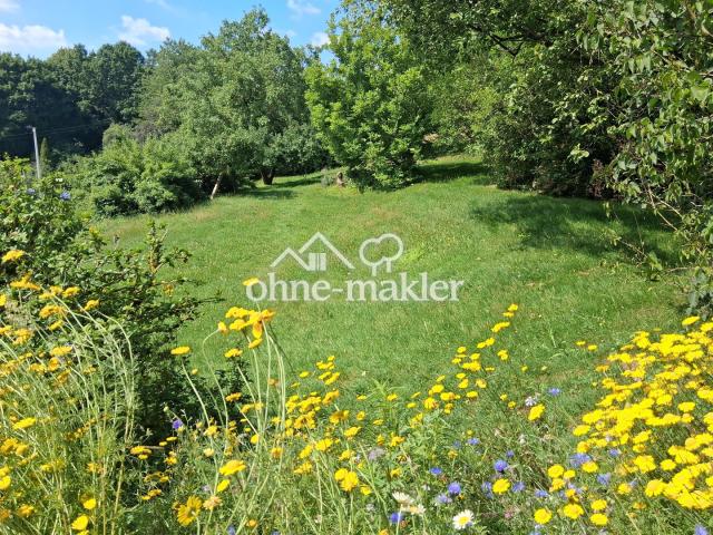Blick in den Garten