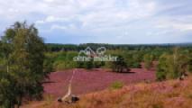 Fischbeker Heide - nebenan