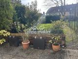 Terrasse + Garten 