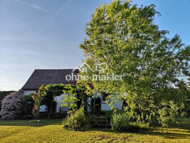Hausansicht vom Garten