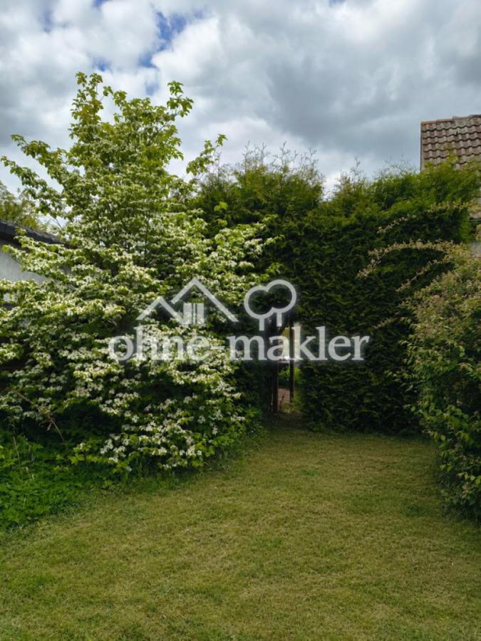 Garten 5