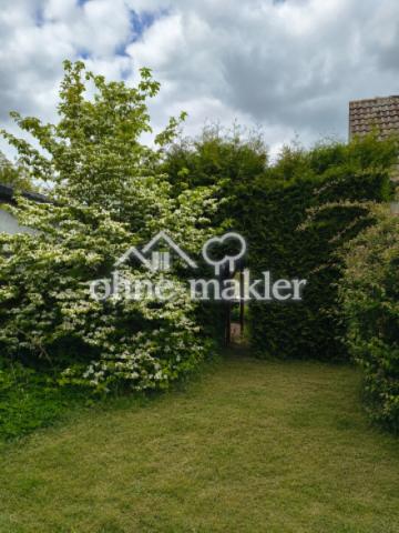 Garten 5