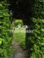 Garten 6