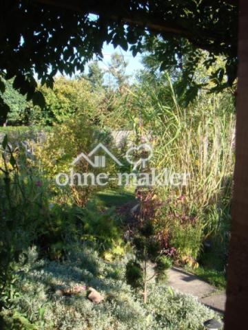 Garten 7
