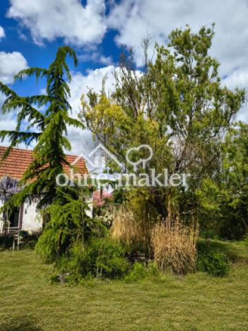 Garten 1