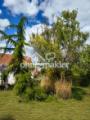 Garten 1