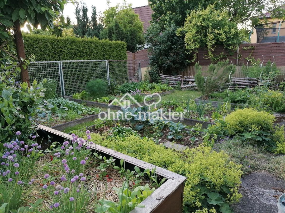 Gemüsegarten