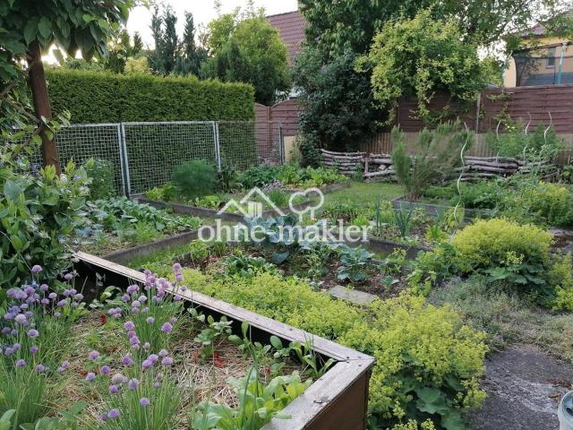 Gemüsegarten