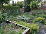 Gemüsegarten