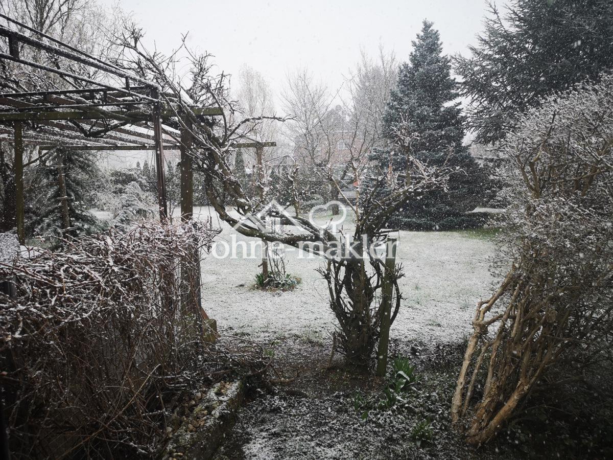 Garten im Winter
