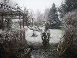 Garten im Winter