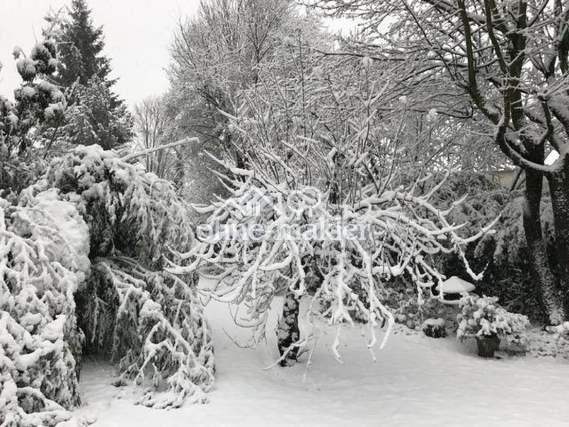 Winterimpression