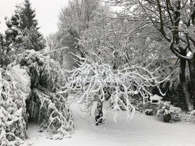 Winterimpression