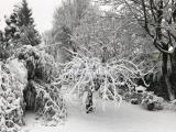 Winterimpression