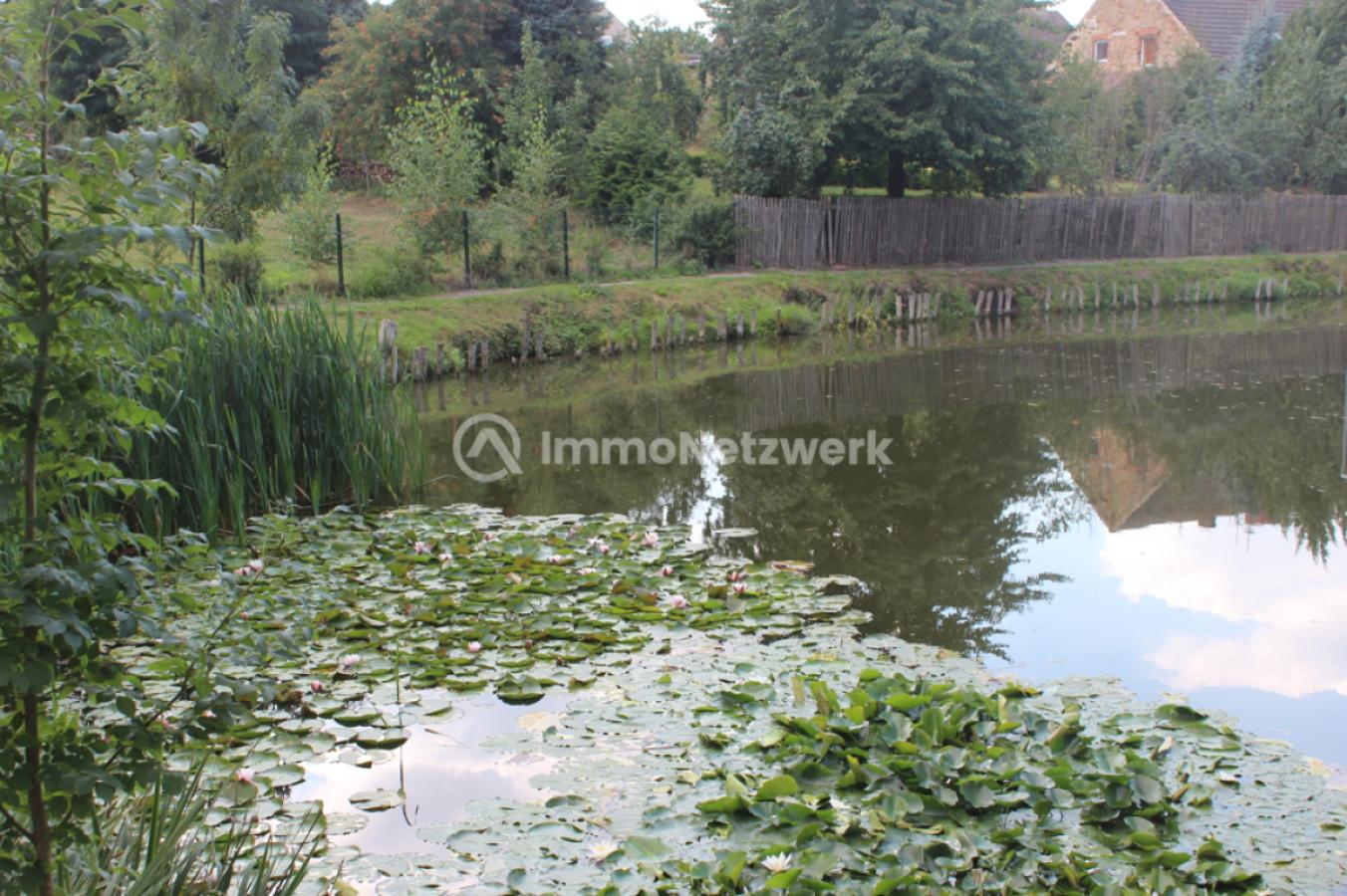 angrenzender Teich