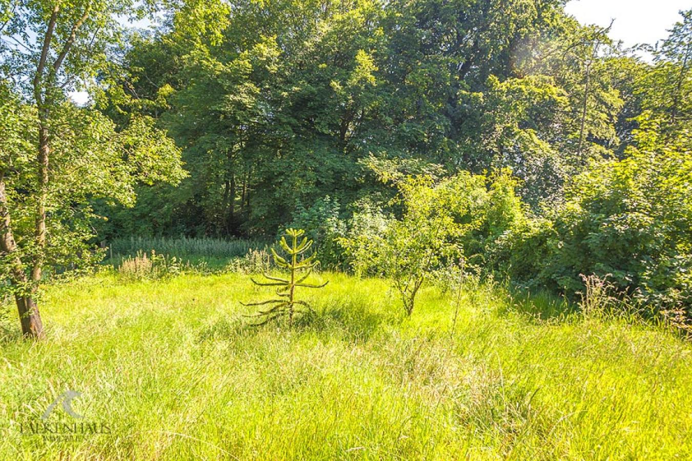 Gartenbereich mit Blick in den eigenen Waldbereich