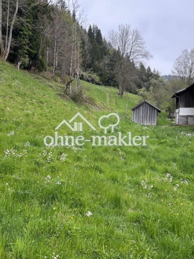 Blick auf das Grundstück 