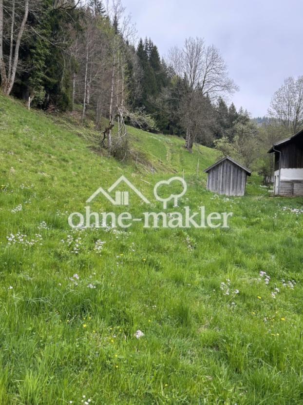 Blick auf das Grundstück 