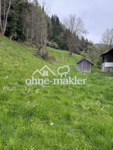 Blick auf das Grundstück 