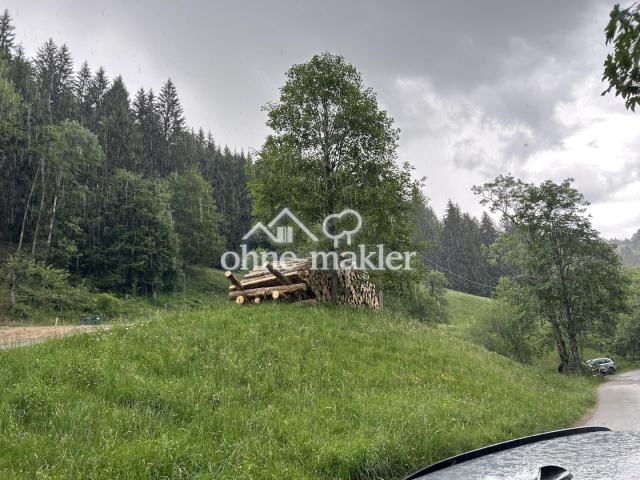 Blick von Strasse 