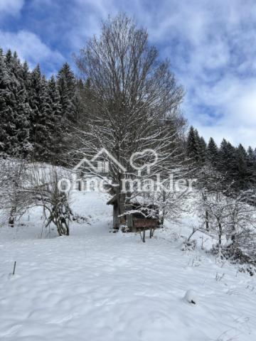 Winterimpression 