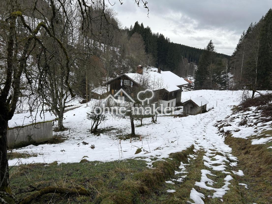 Winterimpression 