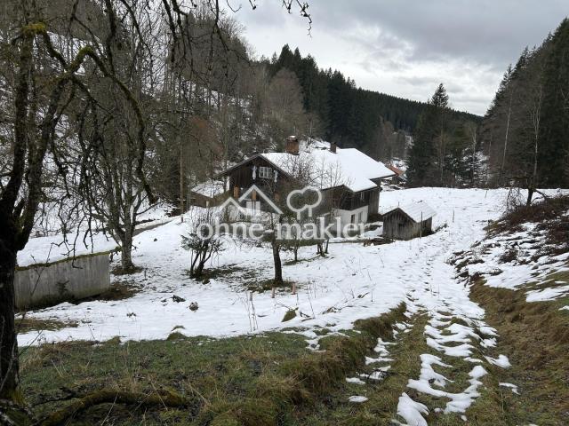 Winterimpression 